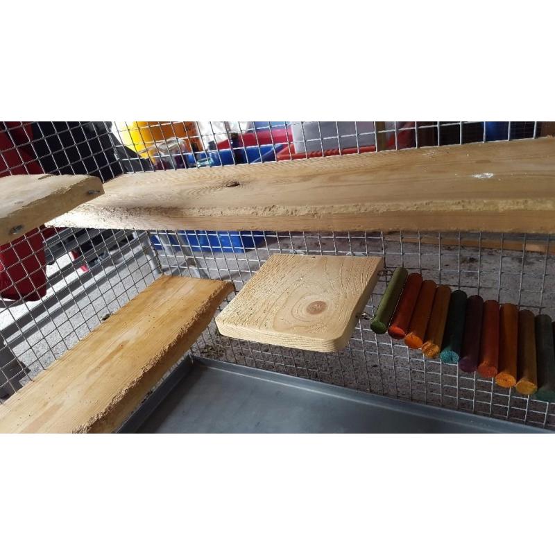 Degu cage and accessories