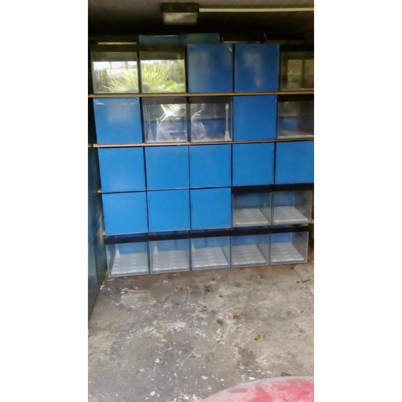 Fish/reptile tank's