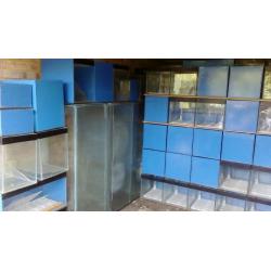 Fish/reptile tank's