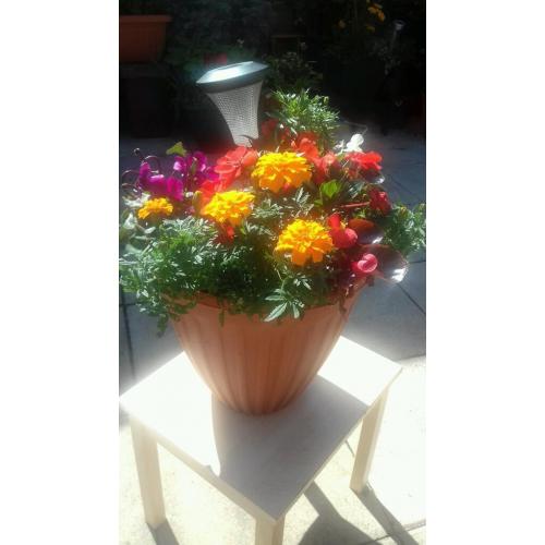 Garden potted plant pots and plantersxx