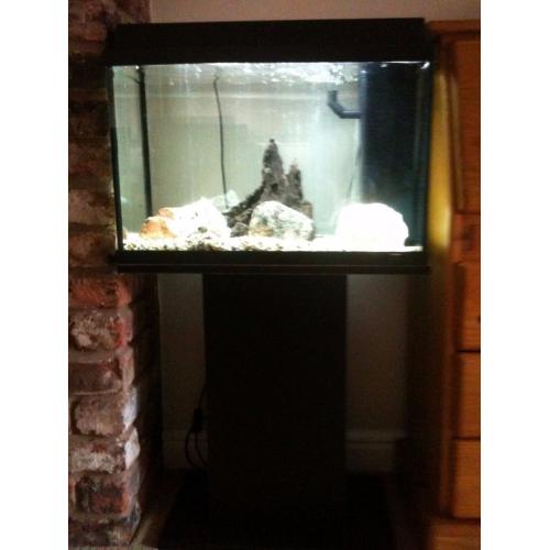 Fish Tank Juwel with pump and stand