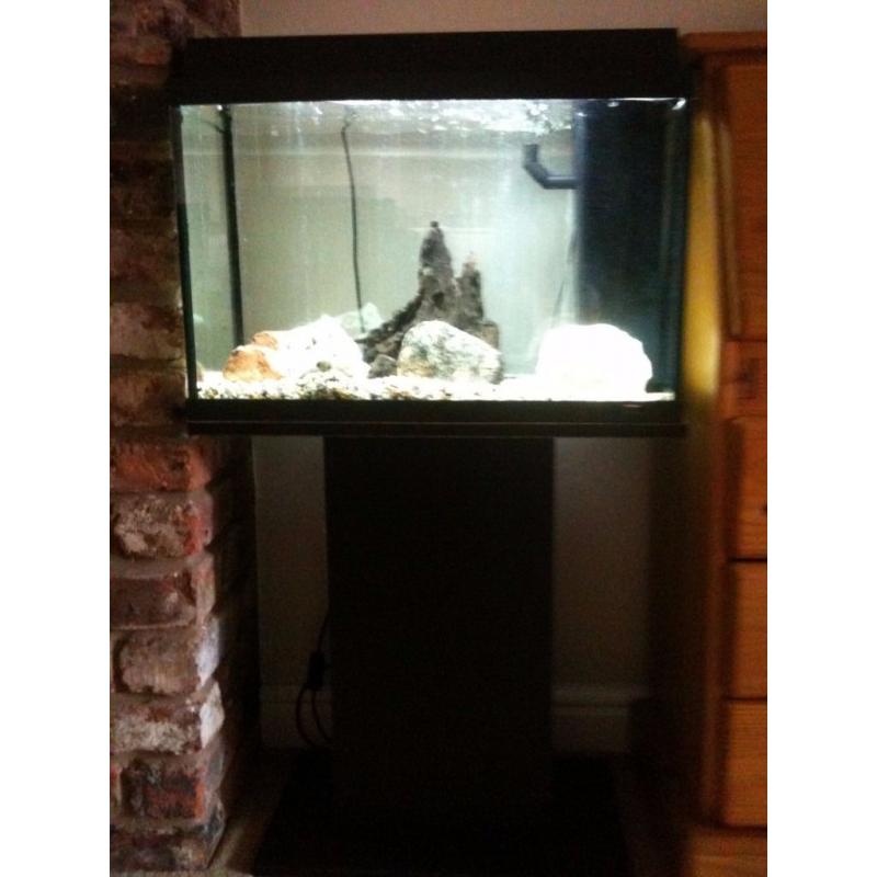 Fish Tank Juwel with pump and stand