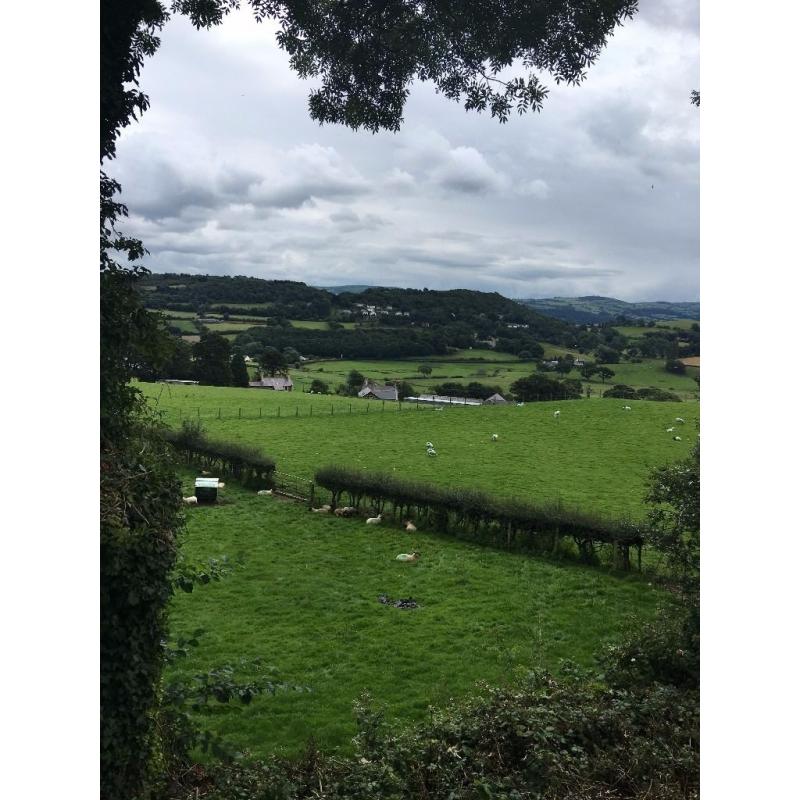 Cambrian Dreamcatcher Lodge on 5* Berthlwyd Hall Holiday Park in Conwy, North Wales