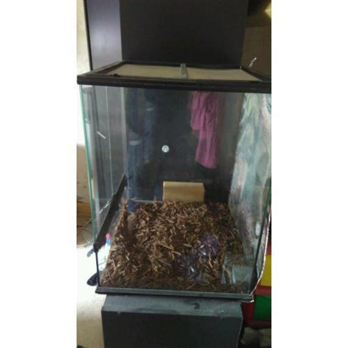 Exo Terra terrarium
