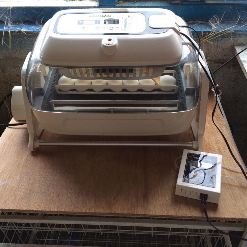 R Com King Suro 29 fully automatic egg incubator with cradle and humidity pump
