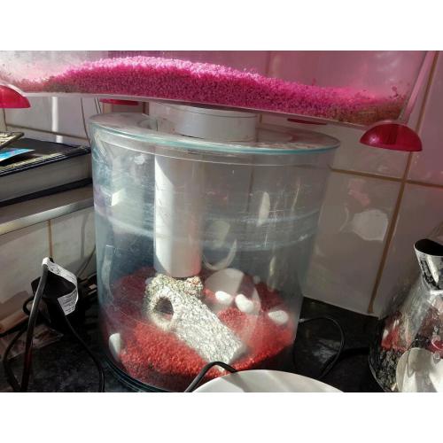Circle fish tank
