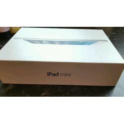 I pad mini