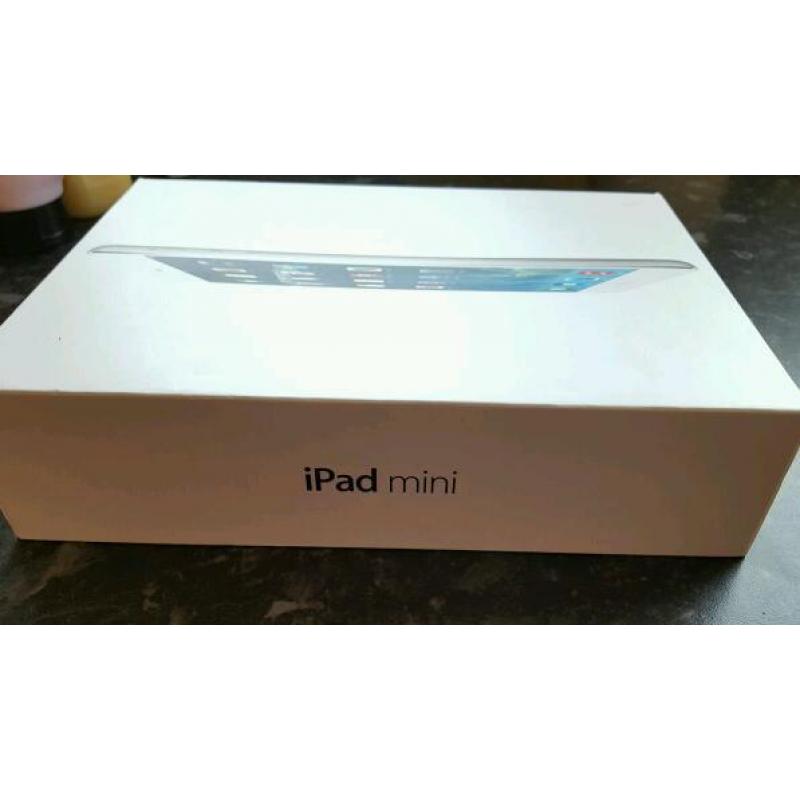 I pad mini