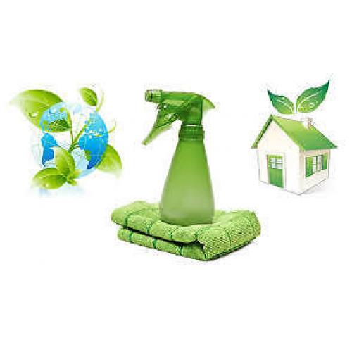 CLEANING PROFESSIONAL TEAM - AFFORDABLE DOMESTIC STEAM CLEANING