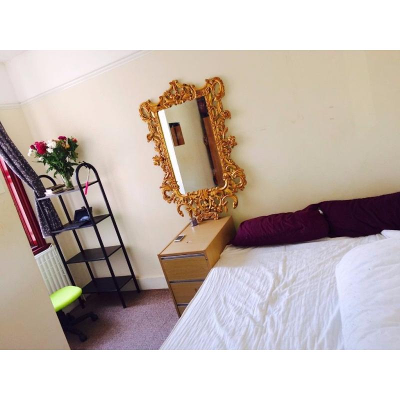 GREAT DOUBLE ROOM IN TURNPIKE LANE/MANOR HOUSE - LIVING ROOM & GARDEN