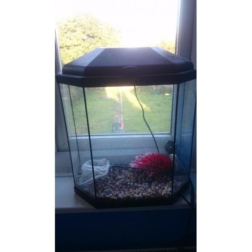 Fish tank