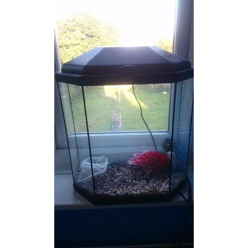 Fish tank