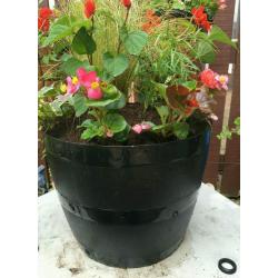 Beautiful Barrel planter