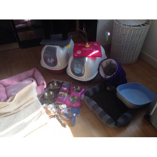 Cat/kitten bundle