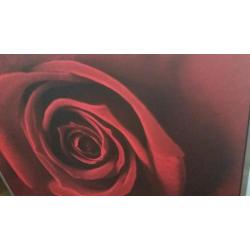 Picture of red rose Ikea for sale