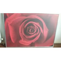 Picture of red rose Ikea for sale