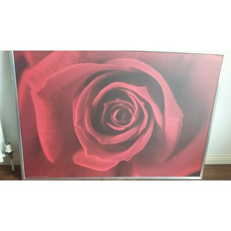 Picture of red rose Ikea for sale