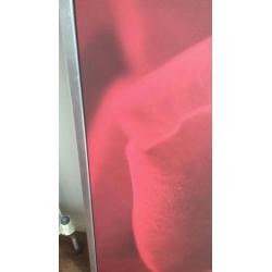 Picture of red rose Ikea for sale