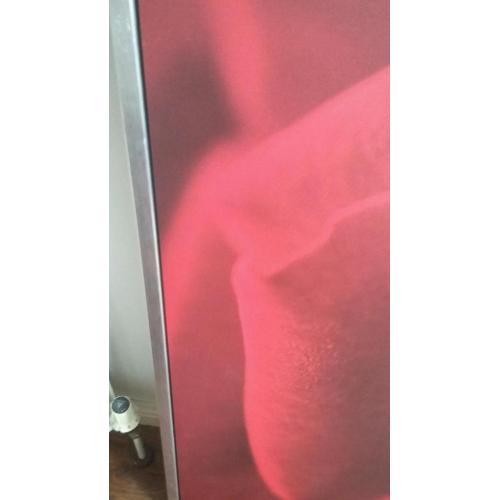 Picture of red rose Ikea for sale