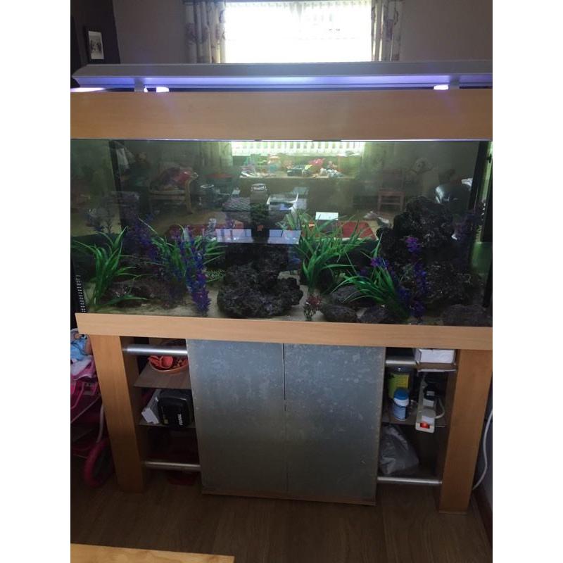 Aquarium / fish tank
