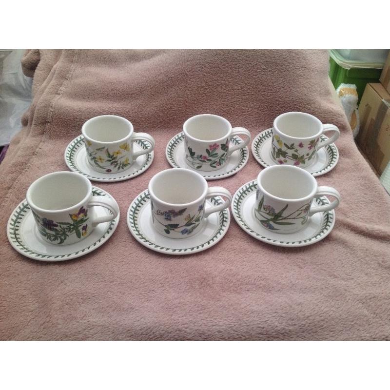 NEW SET OF PORTMEIRION 6 MOCHA COFFEE CUPS AND SAUCERS BOTANIC GARDEN PATTERN