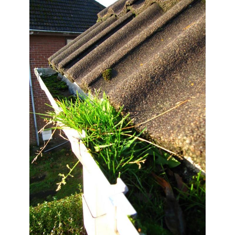 Window Cleaning Belfast. Gutter Cleaning Belfast. Guttering Repair Belfast. Conservatory Cleaning
