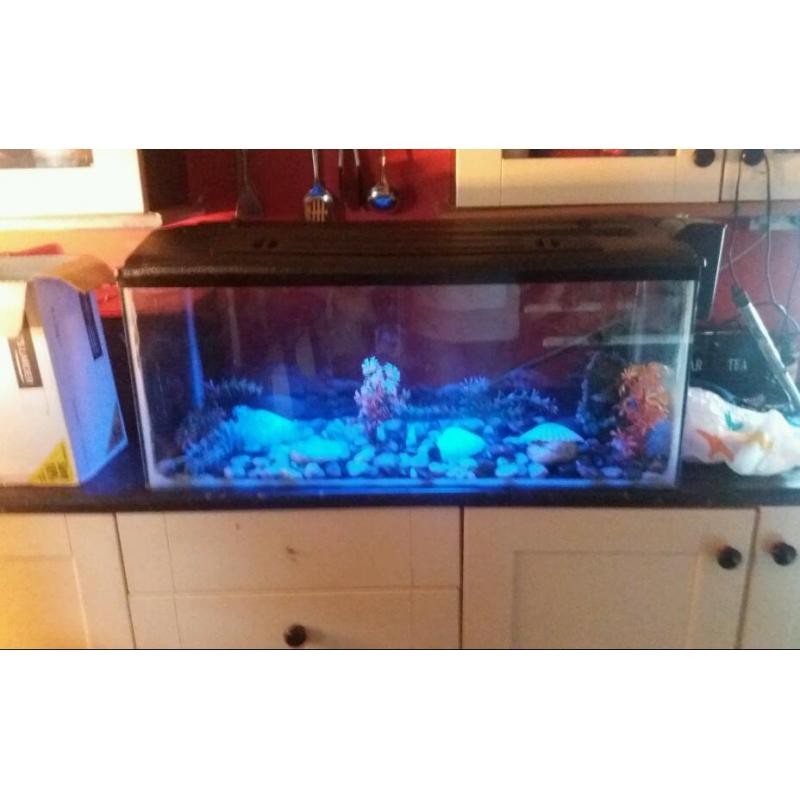 3ft fish/aquarium tank