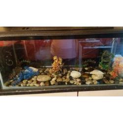 3ft fish/aquarium tank