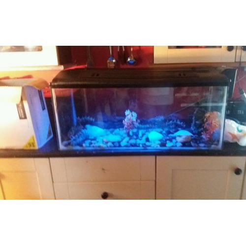 3ft fish/aquarium tank