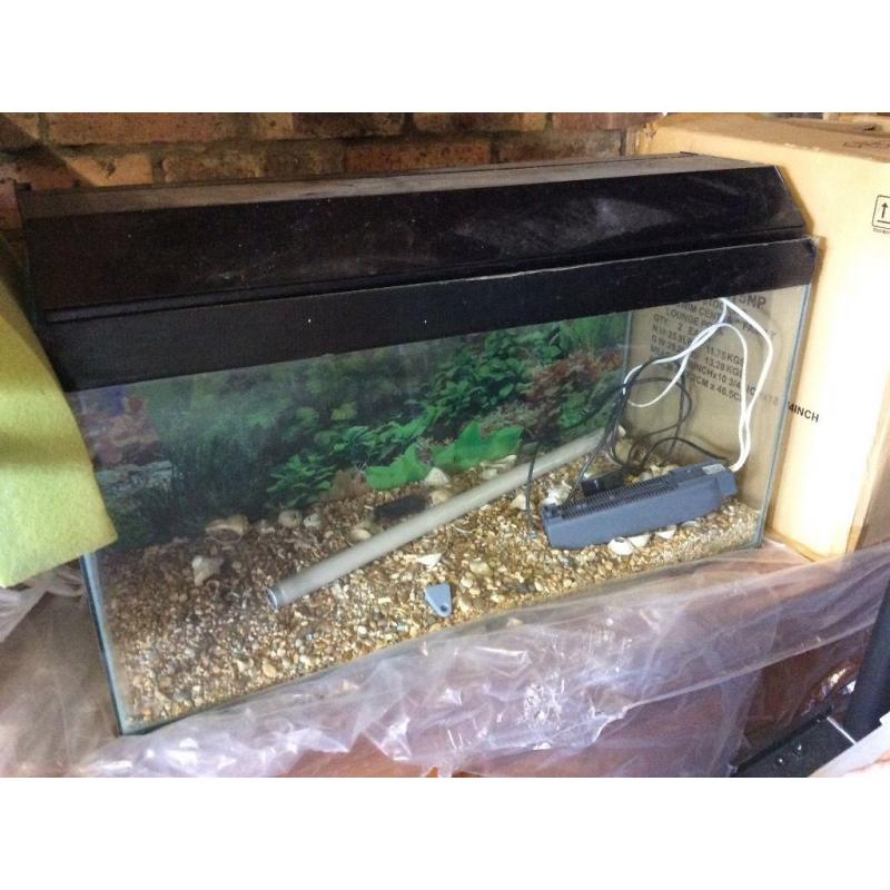 Fish tank