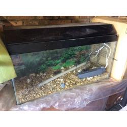 Fish tank