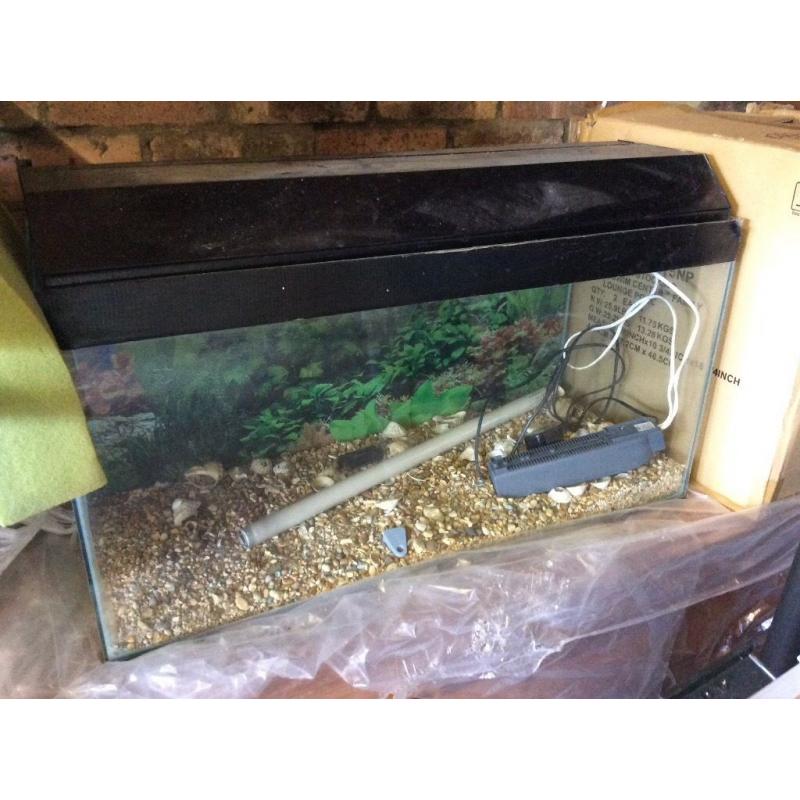 Fish tank
