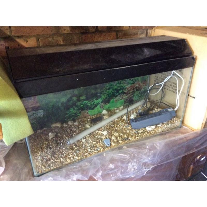 Fish tank