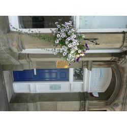 An exciting opportunity for a part-time associate dentist to work in Bridge of Allan.
