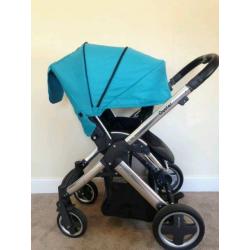 Lovely baby style oyster need gone today