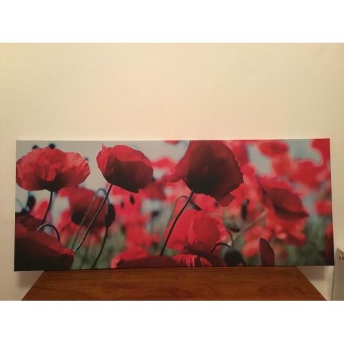 IKEA poppy canvas