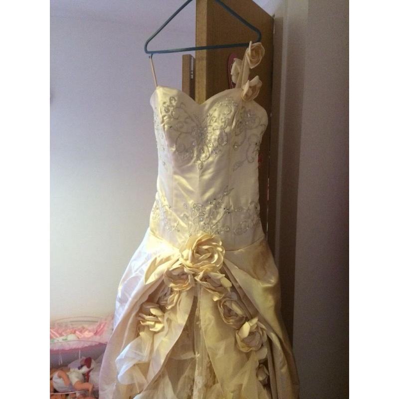 Champagne wedding dress 10-12