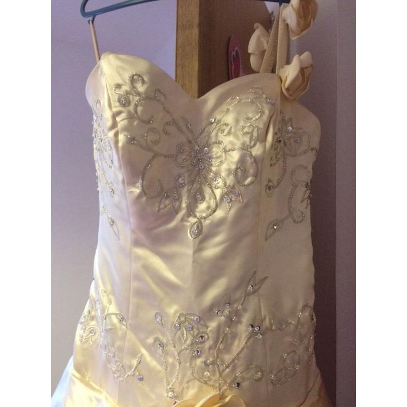 Champagne wedding dress 10-12