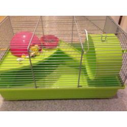 Hamster's cage