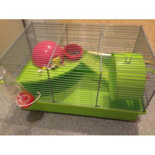 Hamster's cage