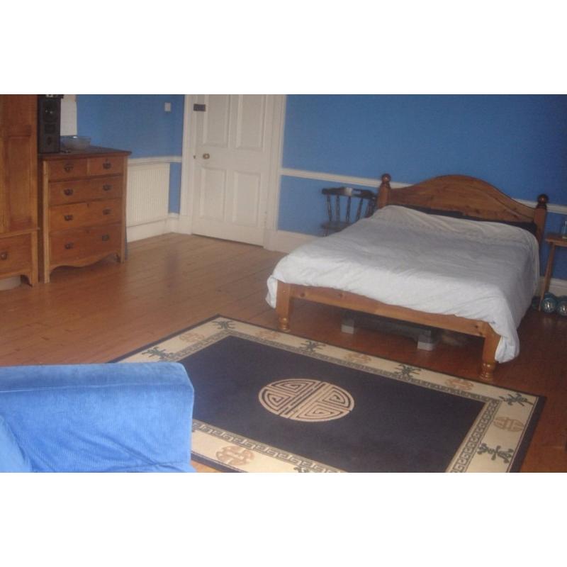 FANTASTIC double room in Bruntsfield
