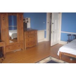 FANTASTIC double room in Bruntsfield