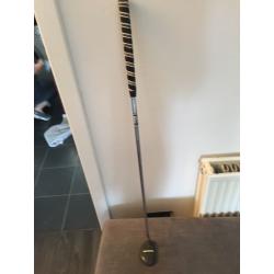 Zebra white line putter