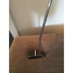 Zebra white line putter