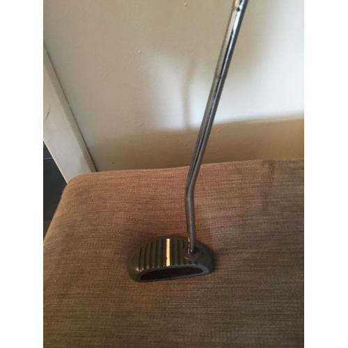 Zebra white line putter