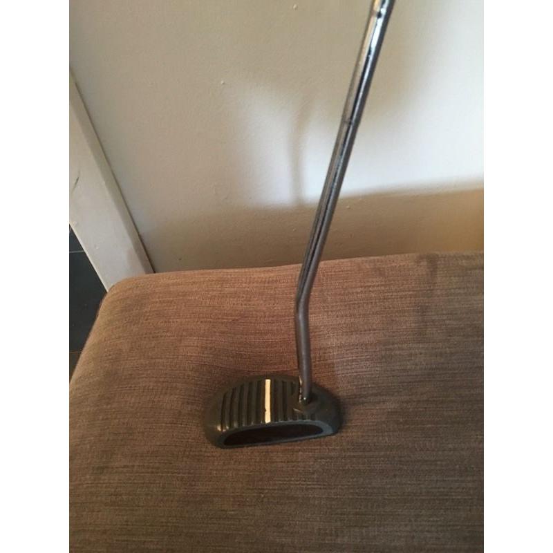 Zebra white line putter