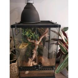 Eco terra arboreal viv crested gecko