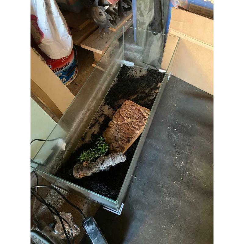 80l Turtle tank (comes with accessories)