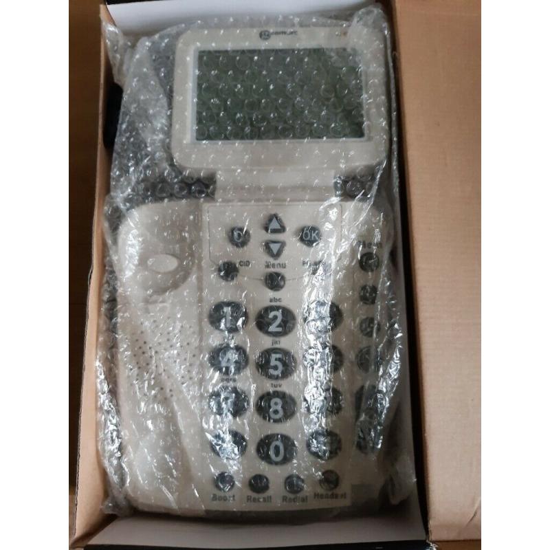 Talking telephone with large display