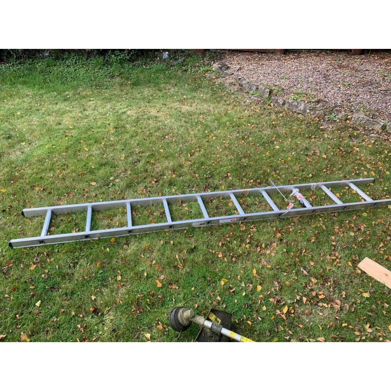 10 rung single section ladder